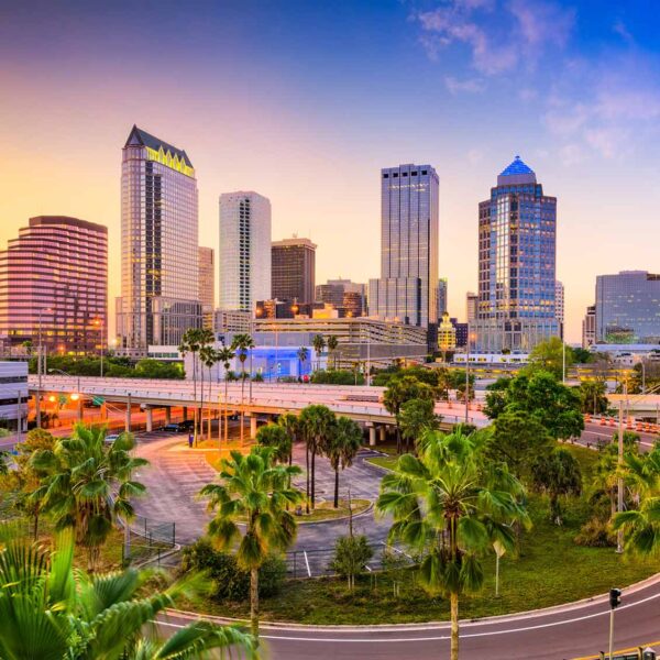 Tampa translation services in Florida