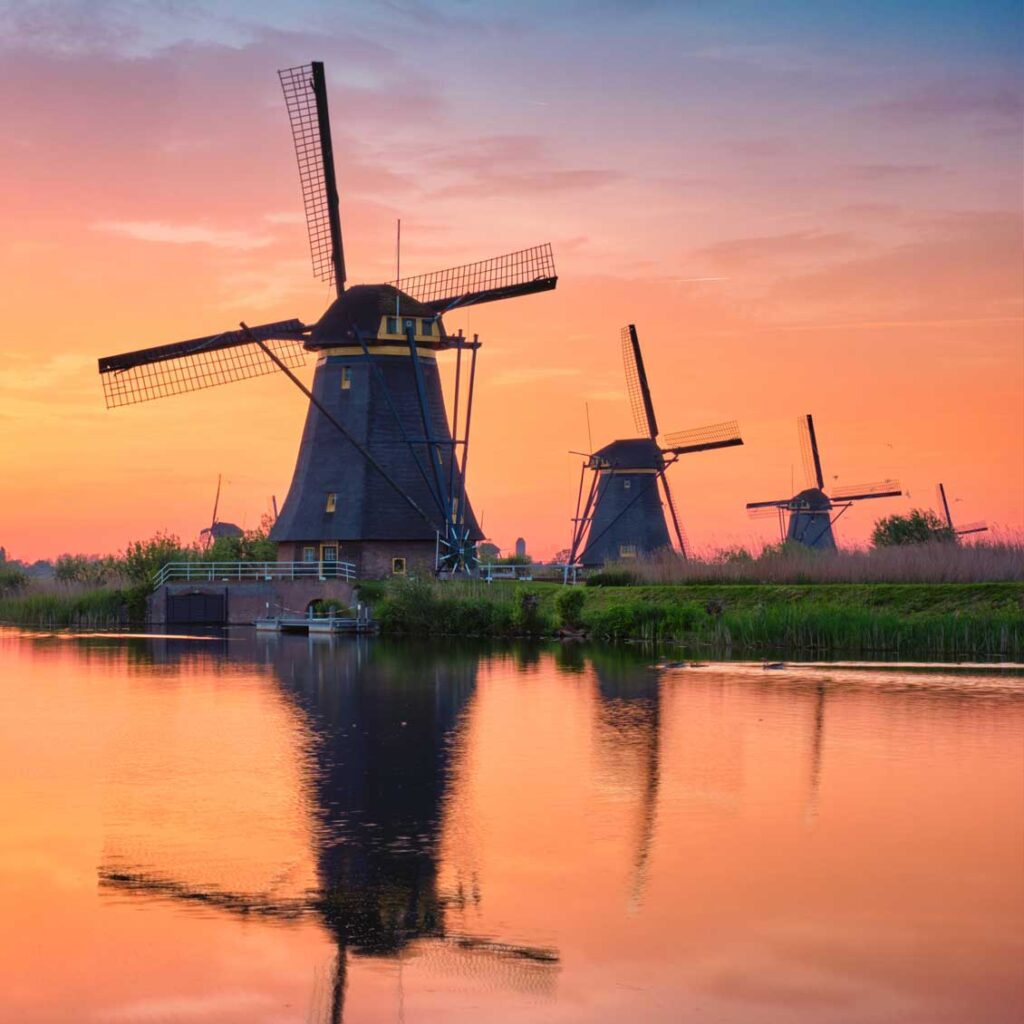 Dutch To English Dutch Translation Service
